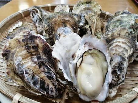 牡蠣,イメージ