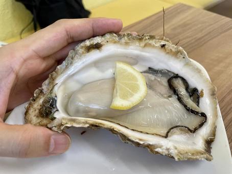 牡蠣,イメージ