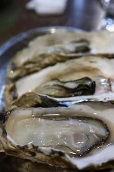 牡蠣,イメージ