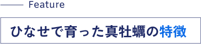 ひなせで育った真牡蠣の特徴