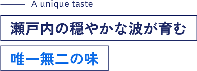 瀬戸内の穏やかな波が育む唯一無二の味