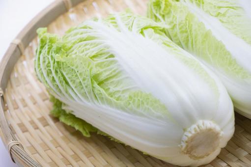 白菜,イメージ