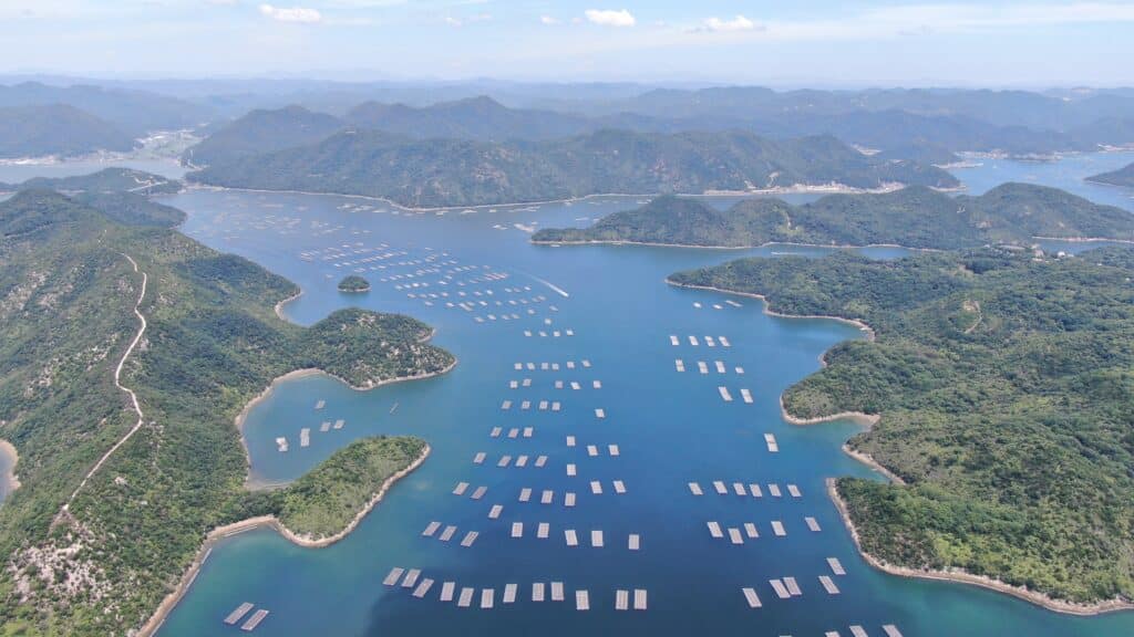 産地写真