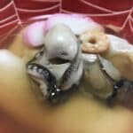 牡蠣鍋
